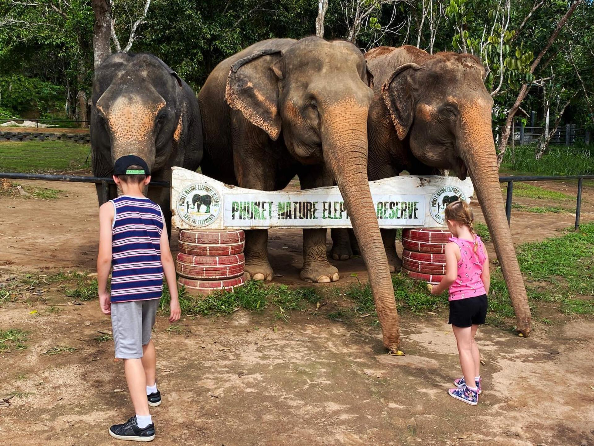 Snooze Inn Phuket - Free Shuttle To Bang Rong Pier Pa Khlok Exterior photo